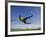 Soccer Player in Action-null-Framed Photographic Print