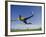 Soccer Player in Action-null-Framed Photographic Print