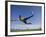 Soccer Player in Action-null-Framed Photographic Print