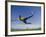 Soccer Player in Action-null-Framed Photographic Print