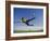 Soccer Player in Action-null-Framed Photographic Print