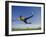 Soccer Player in Action-null-Framed Photographic Print