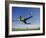 Soccer Player in Action-null-Framed Photographic Print