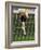 Soccer Player Kicking a Soccer Ball-null-Framed Photographic Print