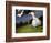 Soccer Player Kicking Ball-Randy Faris-Framed Photographic Print