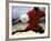 Soccer Player Preparing to Kick Ball-null-Framed Photographic Print