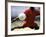 Soccer Player Preparing to Kick Ball-null-Framed Photographic Print