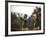 Soccer Star Pele and Teammates Loosen Up before a Practice Prior to World Cup Competition-null-Framed Premium Photographic Print