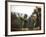 Soccer Star Pele and Teammates Loosen Up before a Practice Prior to World Cup Competition-null-Framed Premium Photographic Print