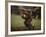 Soccer Star Pele in Action During a Practice for the World Cup Competition-Art Rickerby-Framed Premium Photographic Print