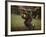 Soccer Star Pele in Action During a Practice for the World Cup Competition-Art Rickerby-Framed Premium Photographic Print