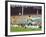 Soccer Star Pele in Action During World Cup Competition-Art Rickerby-Framed Premium Photographic Print