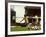 Soccer Star Pele in Action During World Cup Competition-null-Framed Premium Photographic Print