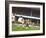 Soccer Star Pele in Action During World Cup Competition-null-Framed Premium Photographic Print