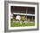 Soccer Star Pele in Action During World Cup Competition-null-Framed Premium Photographic Print