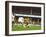 Soccer Star Pele in Action During World Cup Competition-null-Framed Premium Photographic Print