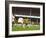 Soccer Star Pele in Action During World Cup Competition-null-Framed Premium Photographic Print