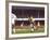 Soccer Star Pele in Action During World Cup Competition-null-Framed Premium Photographic Print