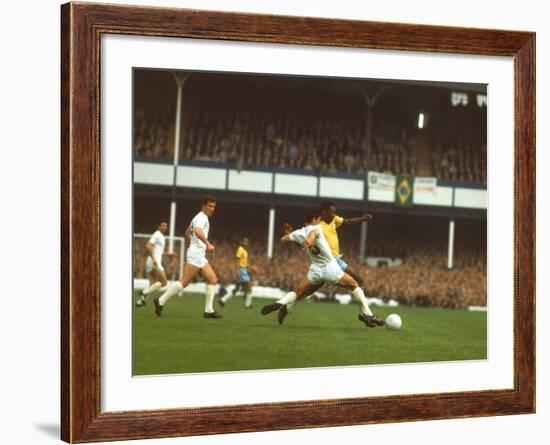 Soccer Star Pele in Action During World Cup Competition-null-Framed Premium Photographic Print