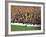 Soccer Star Pele in Action During World Cup Competition-null-Framed Premium Photographic Print