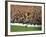 Soccer Star Pele in Action During World Cup Competition-null-Framed Premium Photographic Print