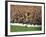 Soccer Star Pele in Action During World Cup Competition-null-Framed Premium Photographic Print