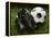 Soccer Still Life-null-Framed Premier Image Canvas