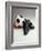 Soccer Still Life-null-Framed Photographic Print