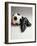 Soccer Still Life-null-Framed Photographic Print