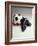 Soccer Still Life-null-Framed Photographic Print