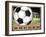 Soccer-Todd Williams-Framed Art Print