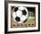 Soccer-Todd Williams-Framed Art Print