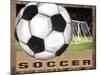 Soccer-Todd Williams-Mounted Art Print