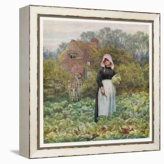 Social, Cabbage Cutting-Helen Allingham-Framed Stretched Canvas