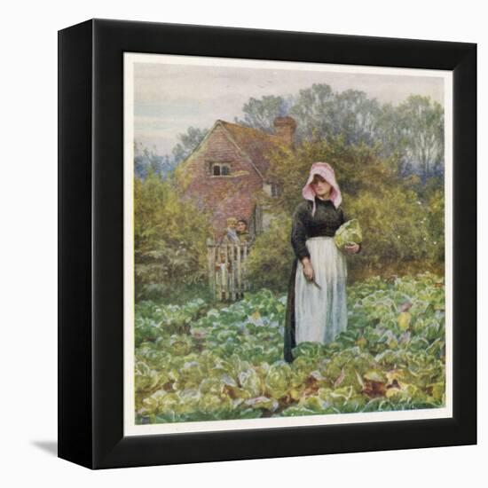 Social, Cabbage Cutting-Helen Allingham-Framed Stretched Canvas