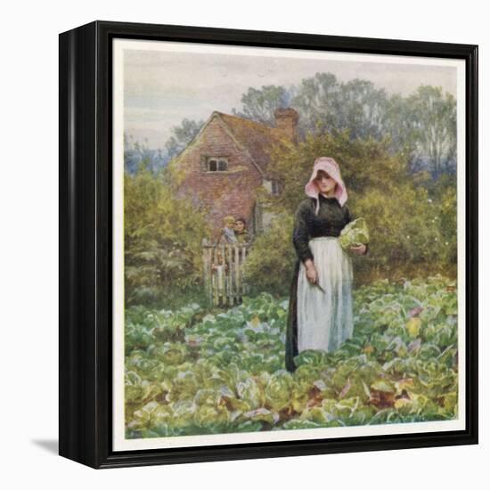 Social, Cabbage Cutting-Helen Allingham-Framed Stretched Canvas