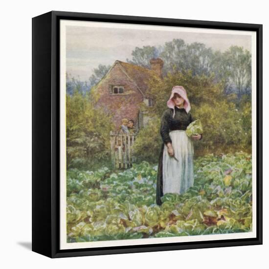 Social, Cabbage Cutting-Helen Allingham-Framed Stretched Canvas