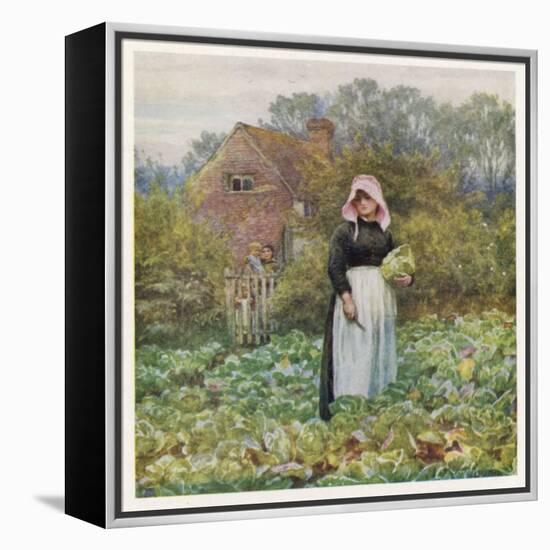 Social, Cabbage Cutting-Helen Allingham-Framed Stretched Canvas