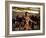 Social Centre, Soweto, Johannesburg, South Africa-Sergio Pitamitz-Framed Photographic Print