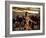 Social Centre, Soweto, Johannesburg, South Africa-Sergio Pitamitz-Framed Photographic Print