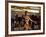 Social Centre, Soweto, Johannesburg, South Africa-Sergio Pitamitz-Framed Photographic Print