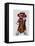 Sock Monkey and Cello-Fab Funky-Framed Stretched Canvas