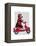 Sock Monkey on Moped-Fab Funky-Framed Stretched Canvas