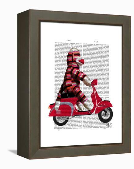 Sock Monkey on Moped-Fab Funky-Framed Stretched Canvas