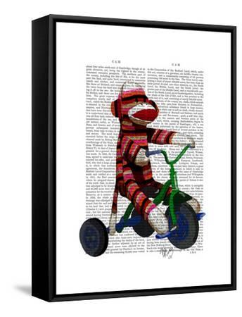 fab n funky tricycle