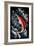 Sockeye Salmon - Scratchboard-Lantern Press-Framed Art Print