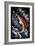 Sockeye Salmon - Scratchboard-Lantern Press-Framed Art Print