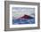 Sockeye Salmon-Lynn M^ Stone-Framed Photographic Print