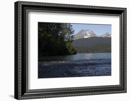 Sockeye Salmon-Lynn M^ Stone-Framed Photographic Print