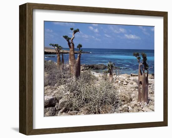 Socotra Island Ies in Arabian Sea, 180 Miles South of Arabian Peninsula-Nigel Pavitt-Framed Photographic Print